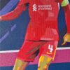 Virgil van Dijk Liverpool 78 x 115 cm origineel